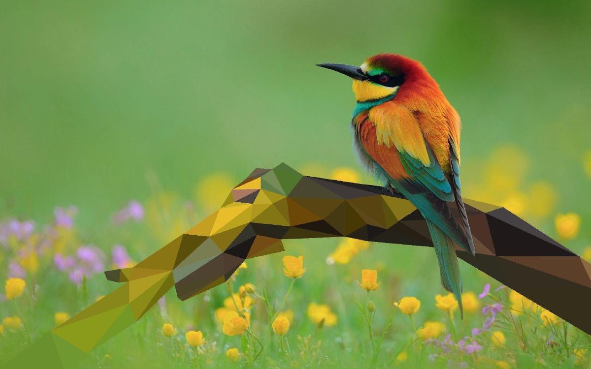 Project MiniCREW Kick-Off